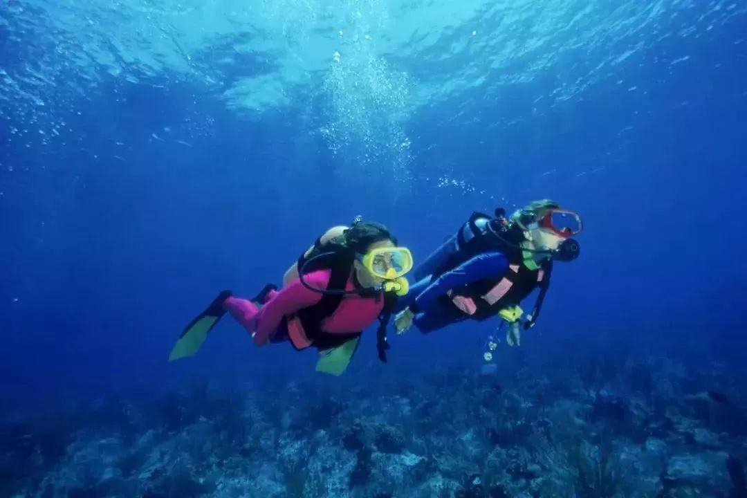 hahabetcom官网星辰大海