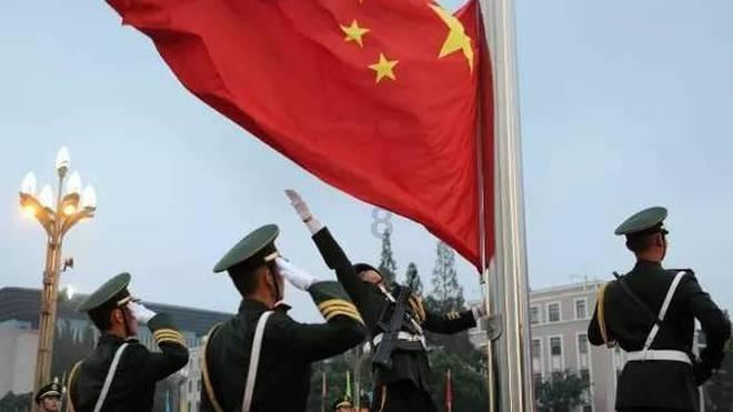 尿素可以给巴西木施肥吗？—机智问答，满足你的好奇心！